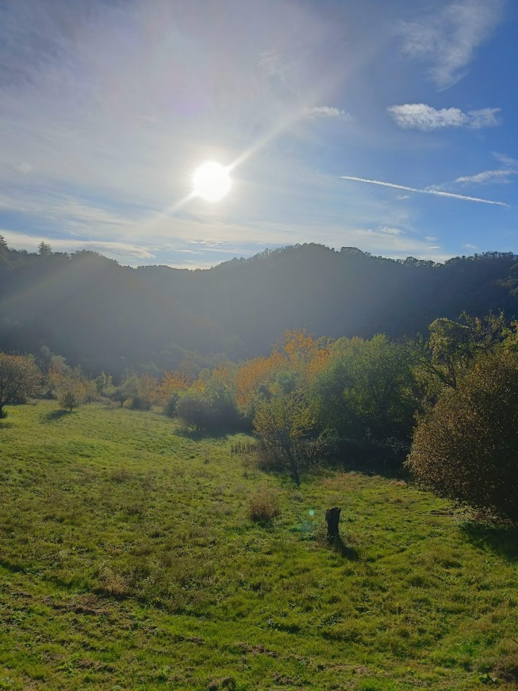Tornati, quando si&nbsp;riparte?